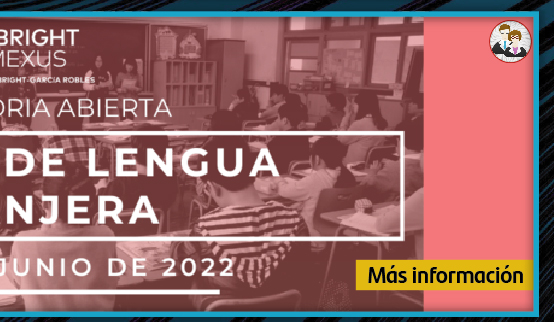 Asistente de Profesor de Lengua Extranjera (Más información)